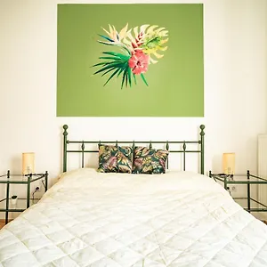 Colors Appartement